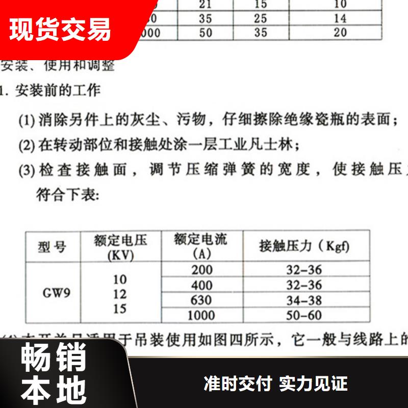 户外高压隔离开关HGW1-10KV/400A