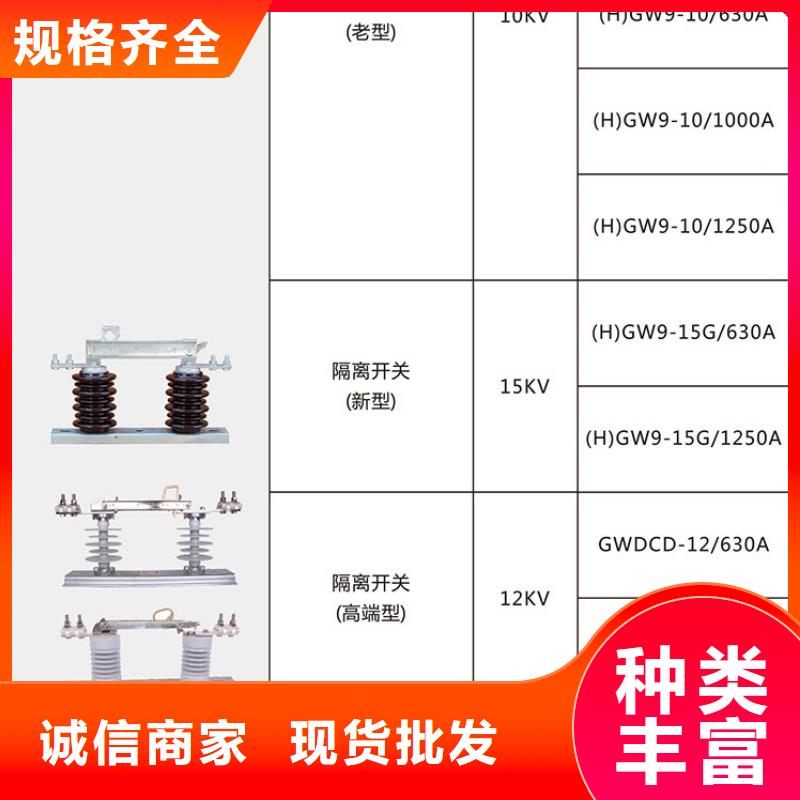 【隔离刀闸】HGW9-12KV/200