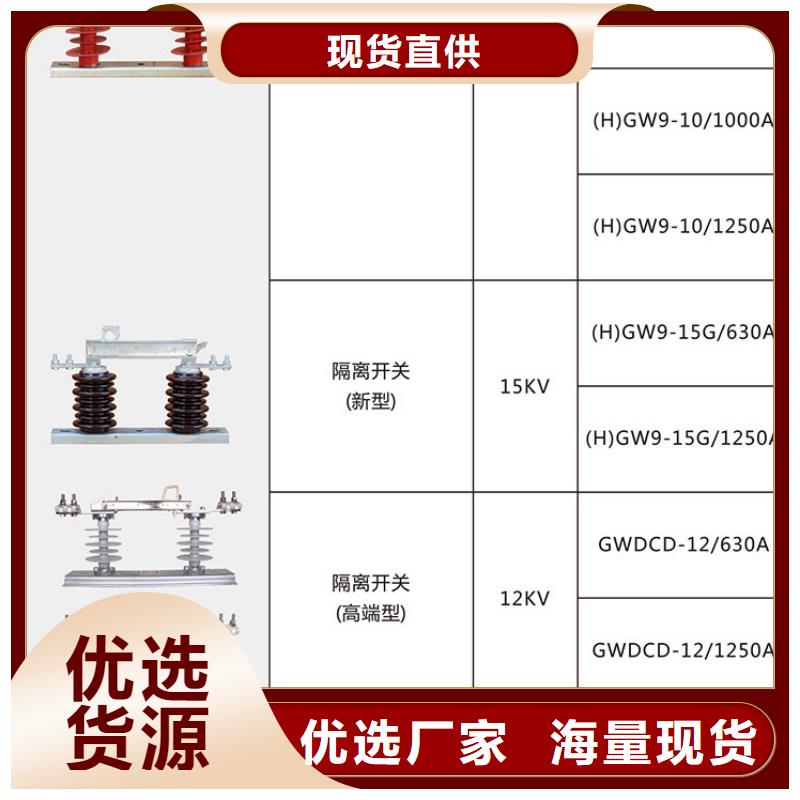 品牌【羿振电气】HGW9-24KV/1250隔离刀闸生产厂家