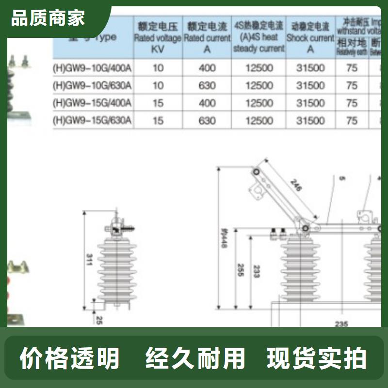 HGW9-10G(W)/200高压隔离开关