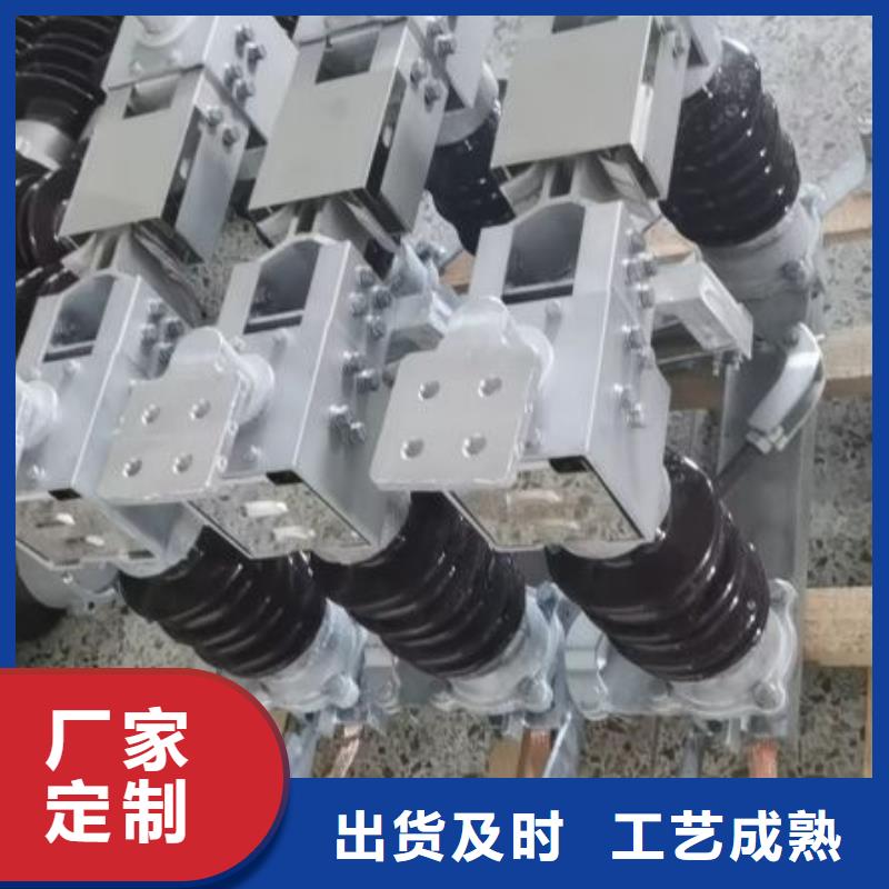 户外高压隔离开关HGW1-12KV/630A