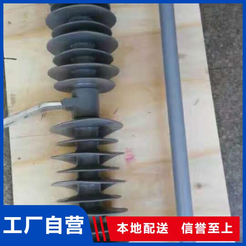 高压熔断器,AC10kV,跌落式,100A