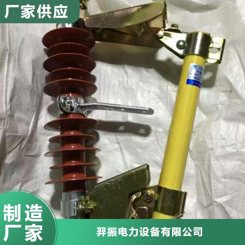 高压熔断器/HRW7-12KV/100