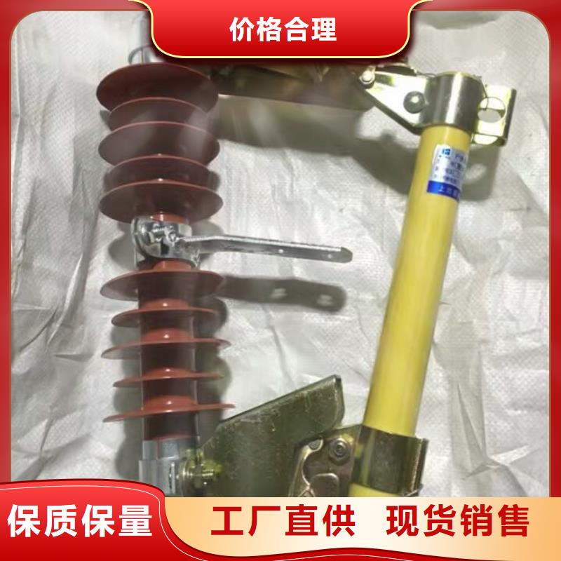 【熔断器_金属氧化物避雷器厂家经验丰富】