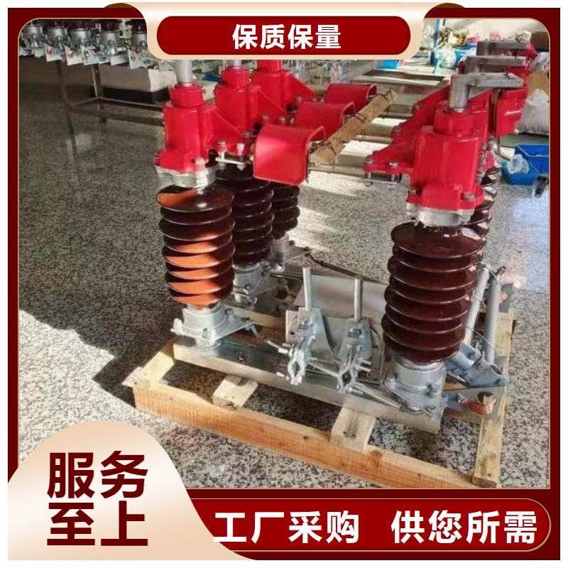 [临江]高压隔离开关HGW9-12KV/630