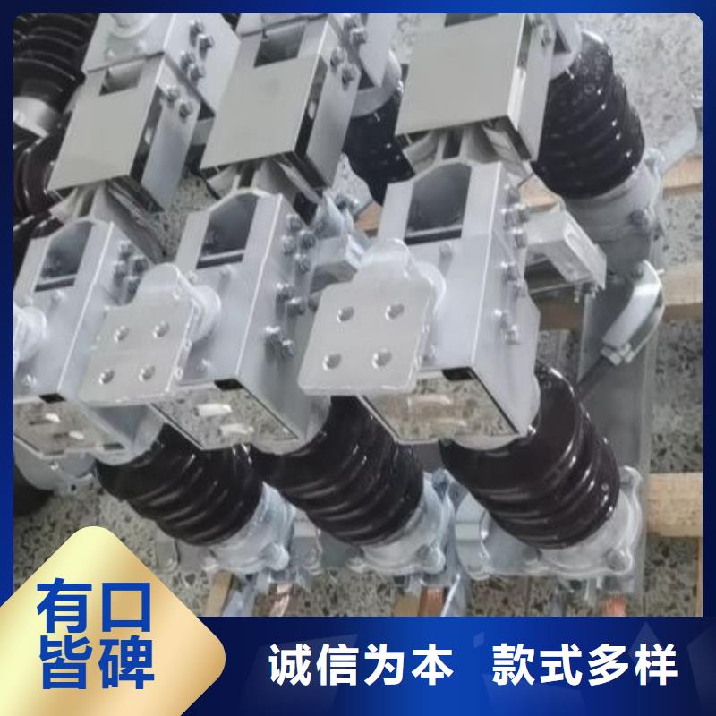 隔离开关HGW9-12KV/400A