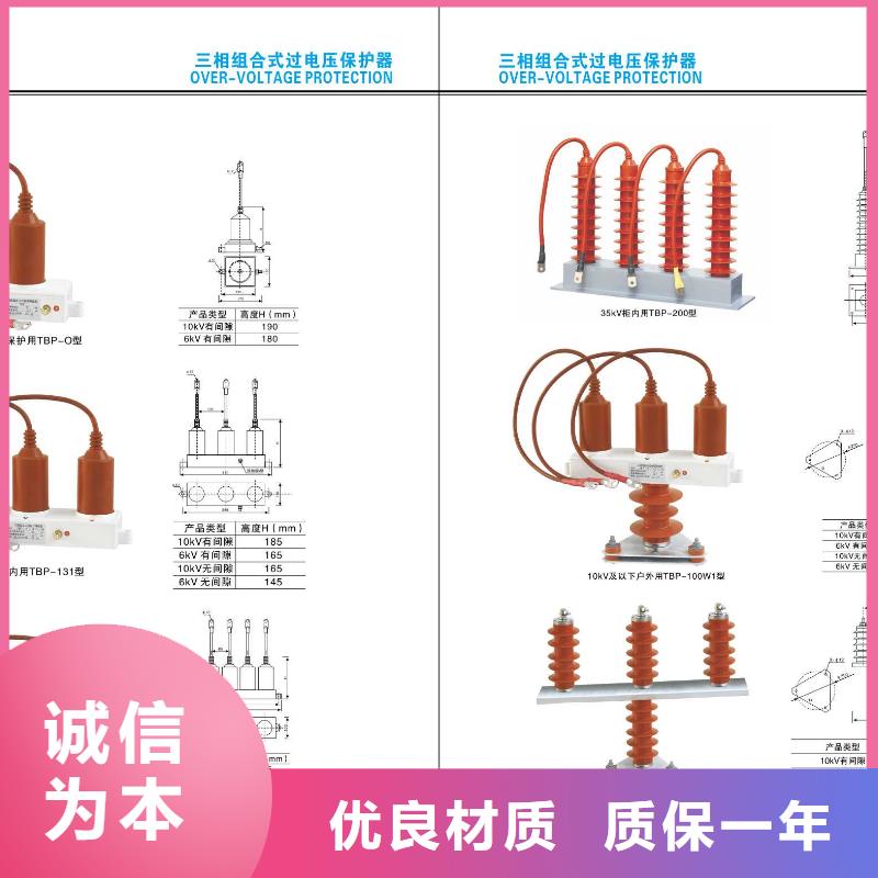 ZSW-145/8：支持绝缘子