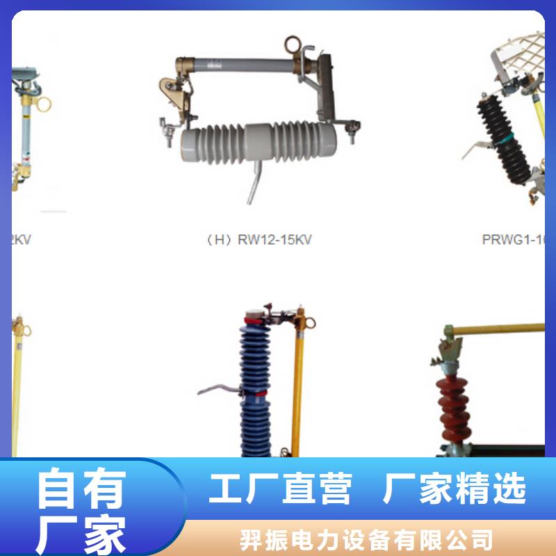 【羿振电气】Y10W1-96/250