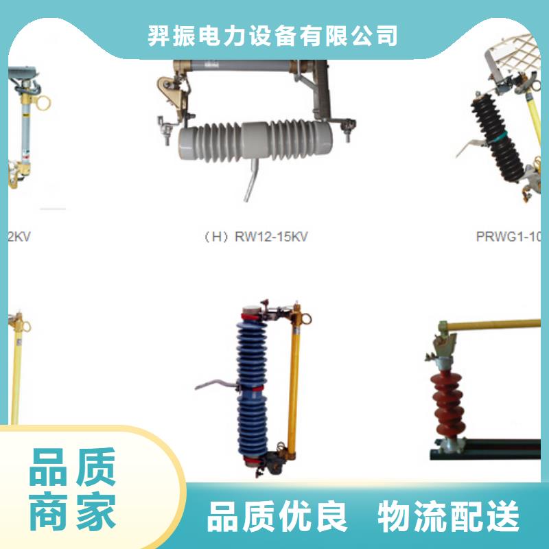 高压熔断器-RW7-12/100A-HRW7-12/100A【浙江羿振电气有限公司】