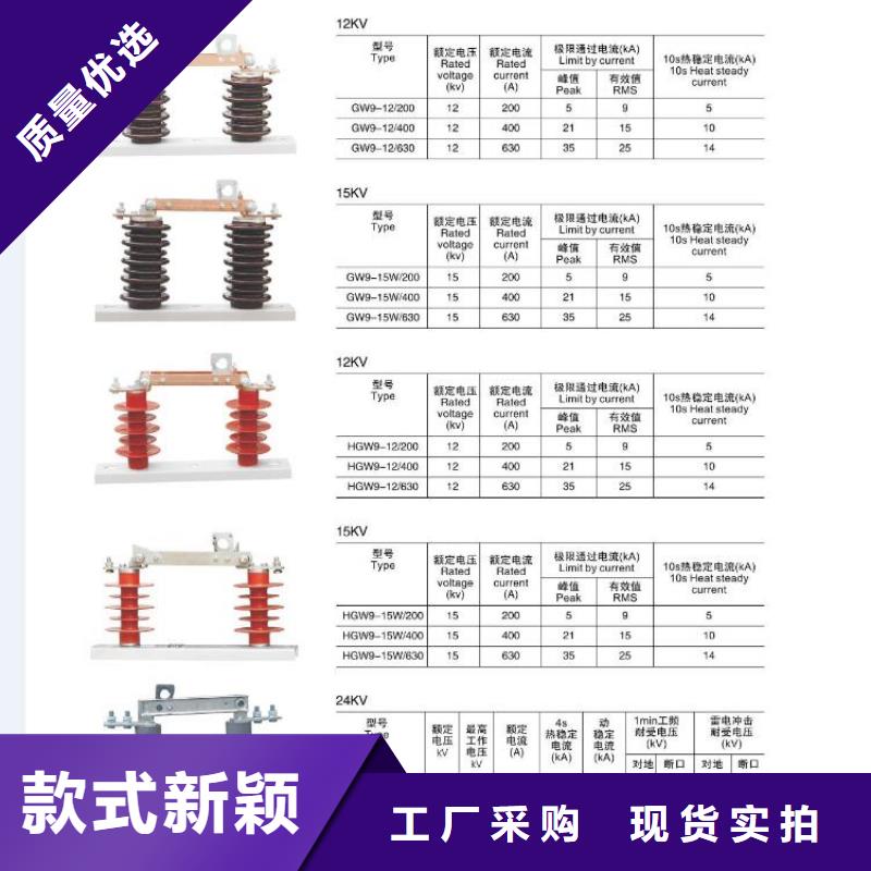 【柱上隔离开关】HGW9-12W/200A