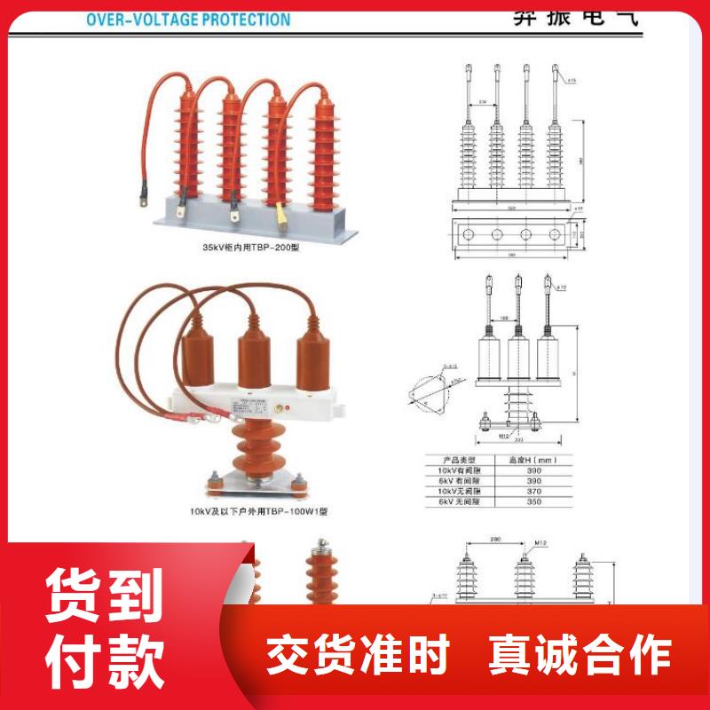 〖氧化鋅避雷器〗Y(jié)10W-96/238【浙江羿振電氣有限公司】