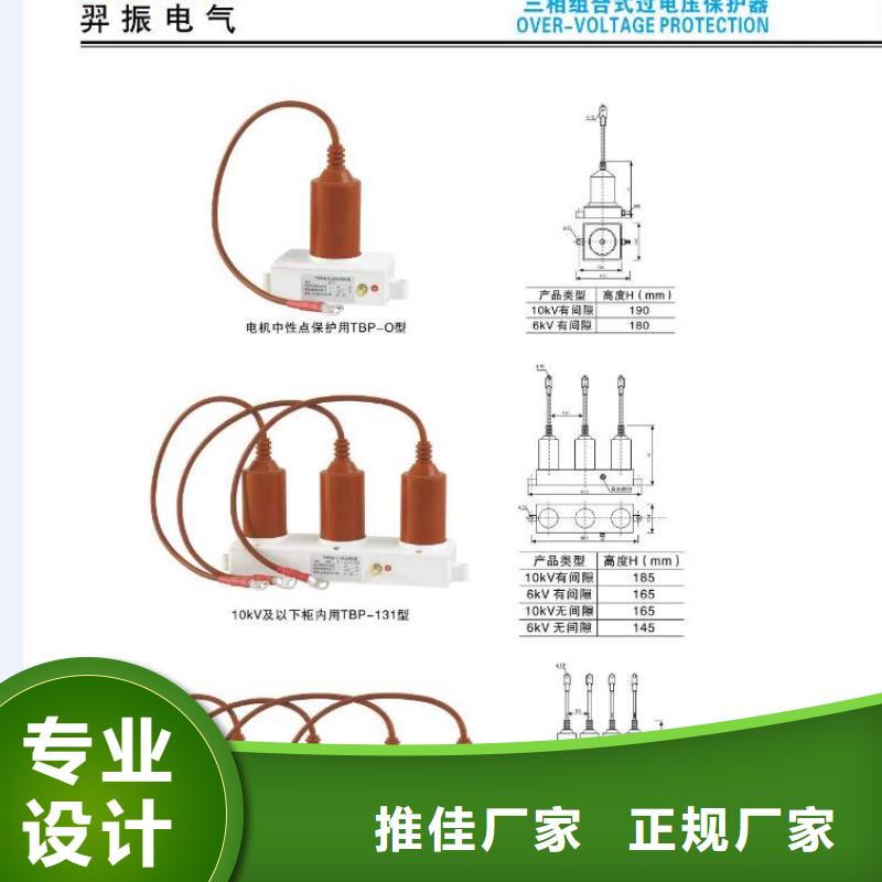 【羿振电气】Y10W5-116/302GY