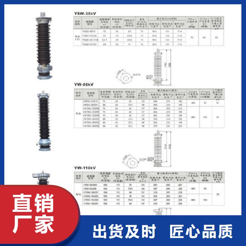 -【断路器】ZW20AF-12/T630-20