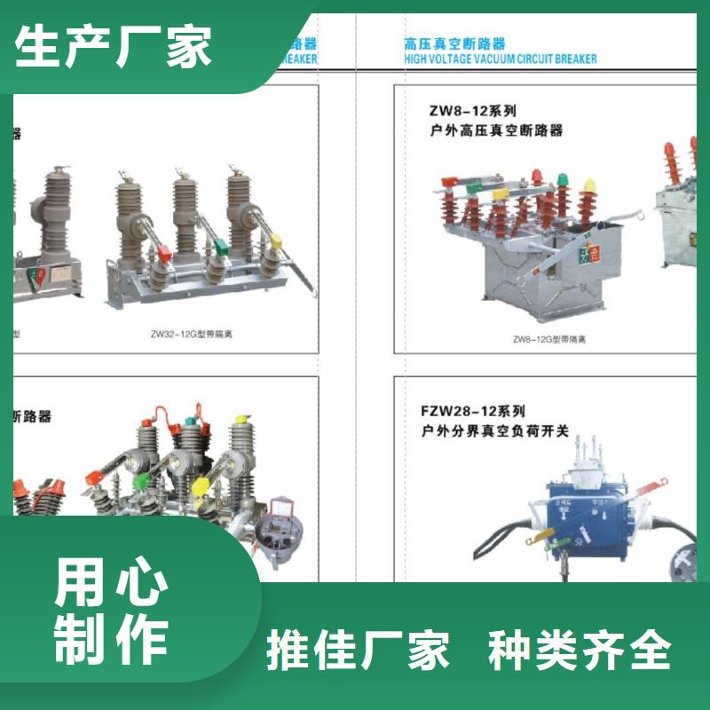 【羿振牌】ZS-110/12.5支柱绝缘子