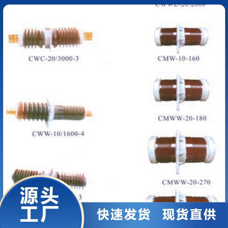 支柱绝缘子ZN3-10Q/70*130-现货充足