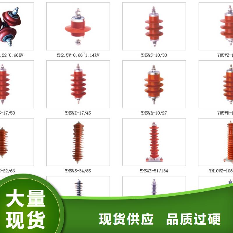 支柱绝缘子_ZSW-110/6.12【浙江羿振电气有限公司】