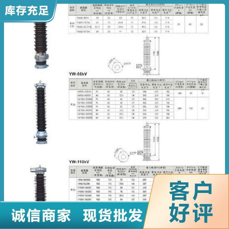 【羿振电力】避雷器YH10WZ-51/134G