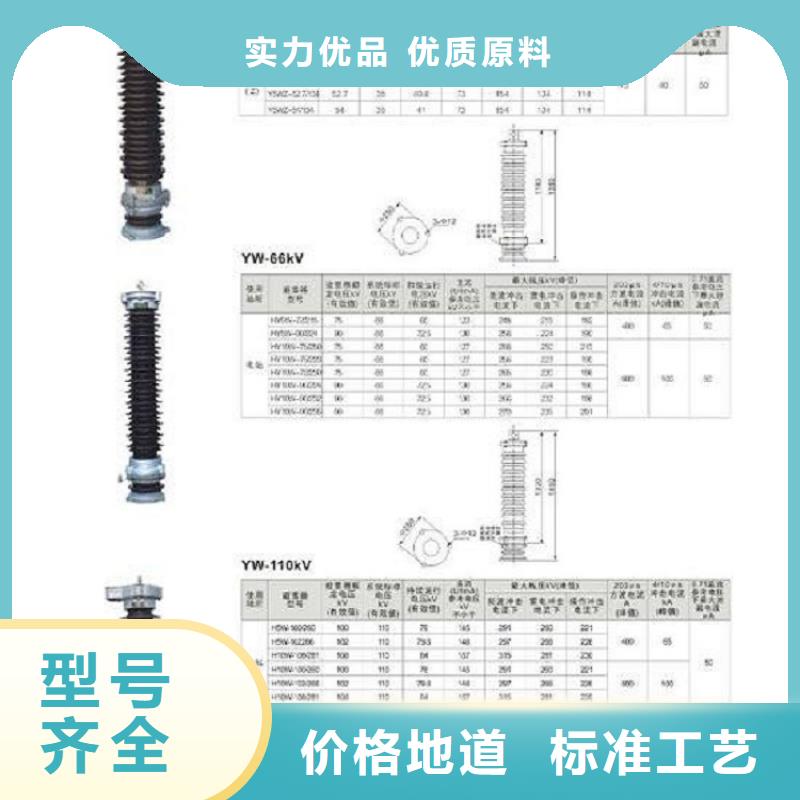 避雷器Y10W-200/496