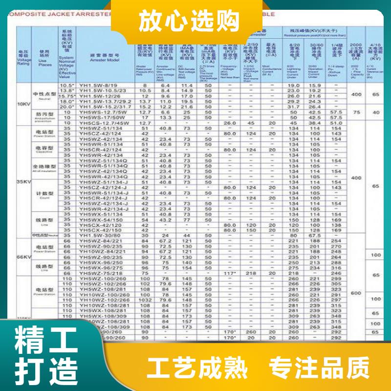 ＿跌落式避雷器HY5WS-17/50DL