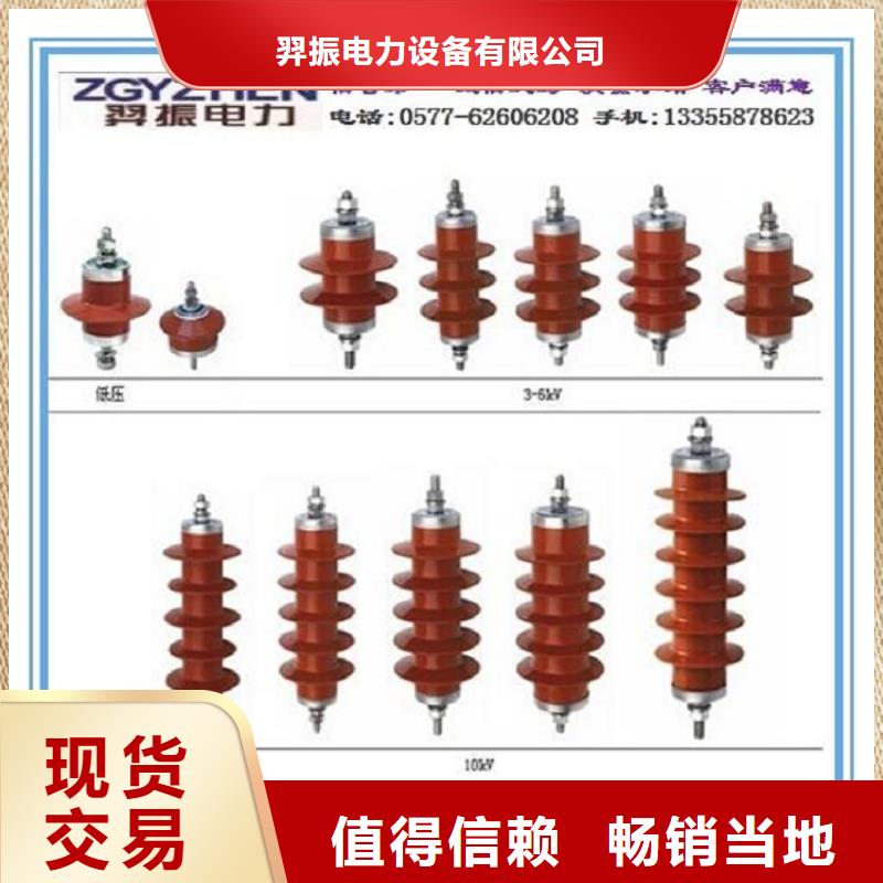 避雷器YH10W5-192/500GY