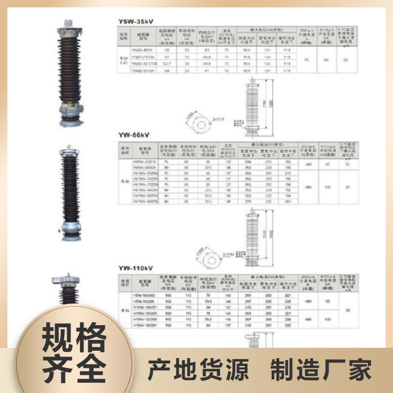 _避雷器Y10W5-96/250W【羿振电力设备】