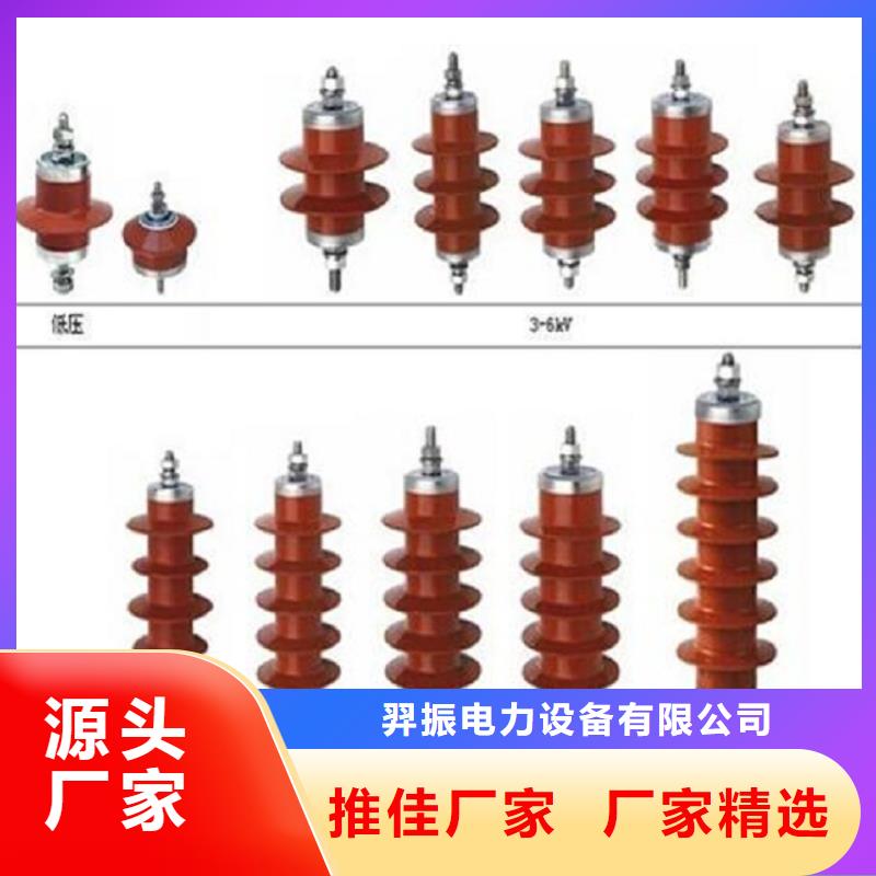 避雷器HY10WZ2-192/500S