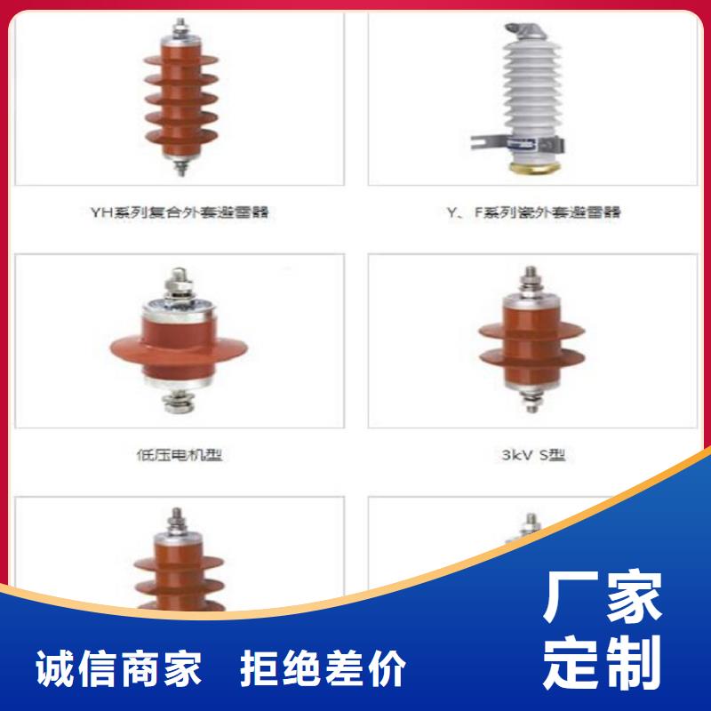 _避雷器Y10W1-96/238【羿振电力设备】