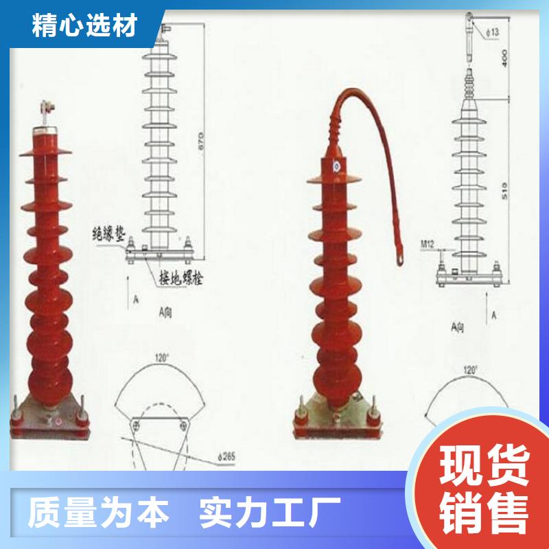 _避雷器YH10WS-100/260【羿振电力设备】