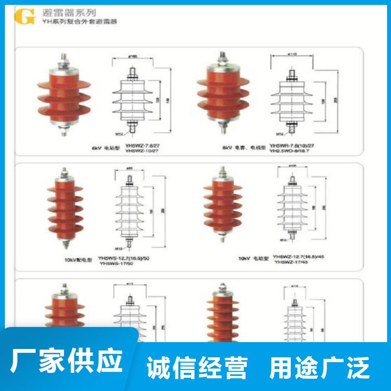 避雷器【Y10W-96/250】