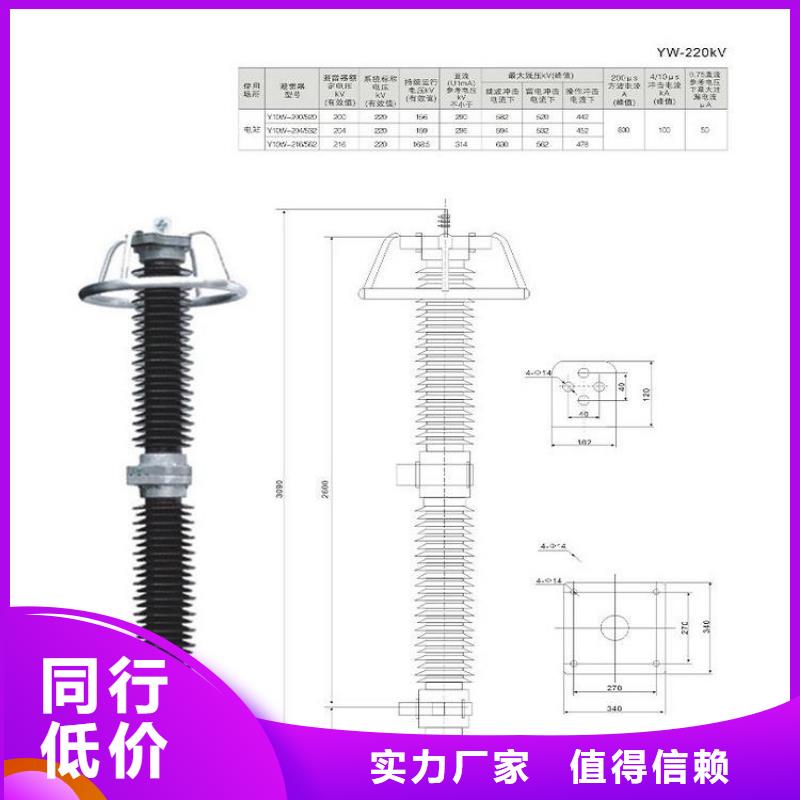 【避雷器】Y10W1-312/720GW