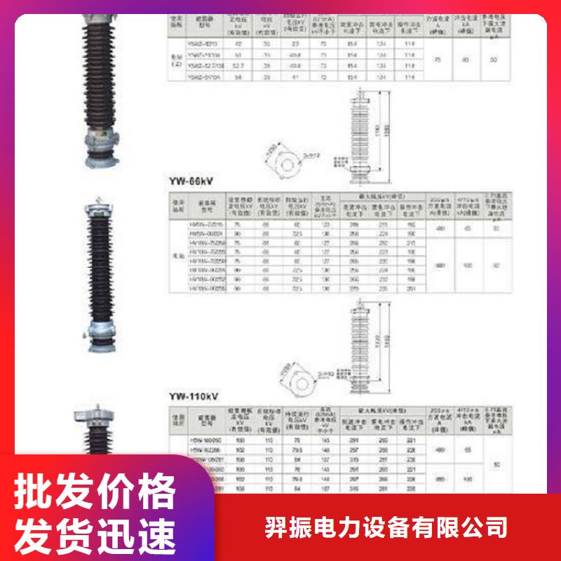 【羿振电气】避雷器Y10W1-100/260