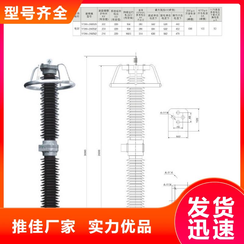 氧化锌避雷器YH10WZ-90/235【上海羿振电力设备有限公司】