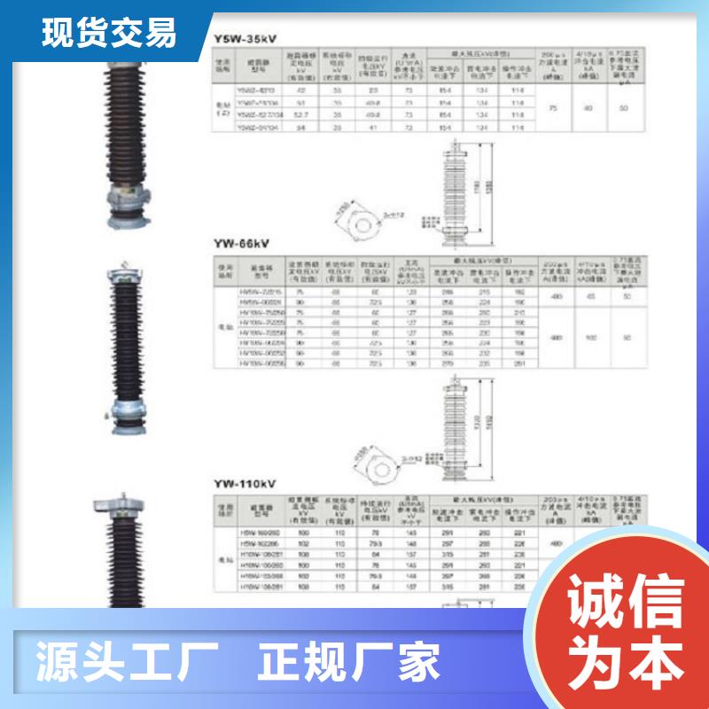 【避雷器】YH10WX-228/594