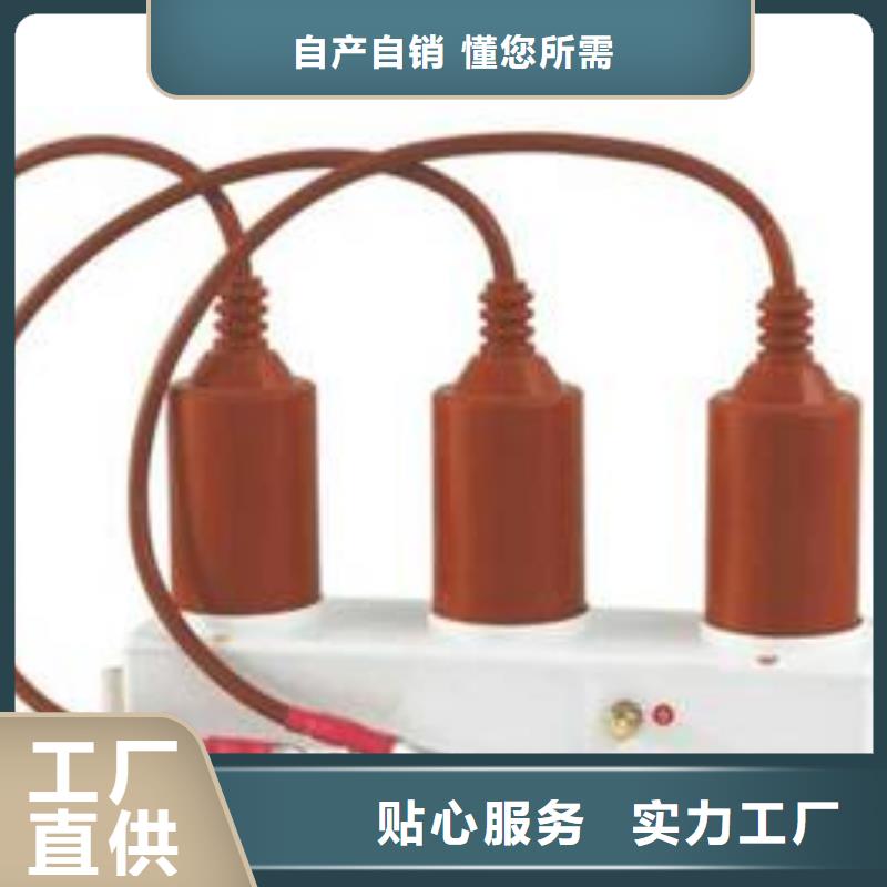 保护器(组合式避雷器)SYB-A-42/630W2