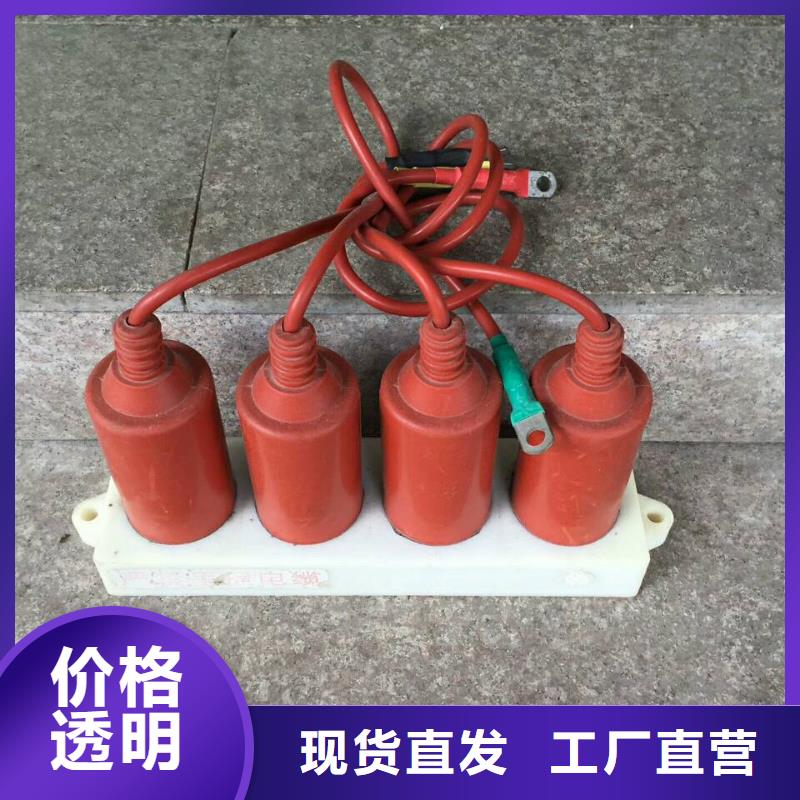 过电压保护器(组合式避雷器)TBP-B-7.6/100W1