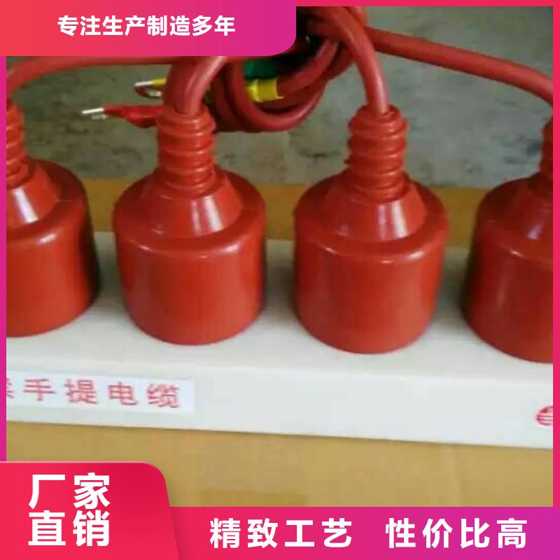 【羿振电气】保护器(组合式避雷器)TBP-Y-C/35-F过电压保护器