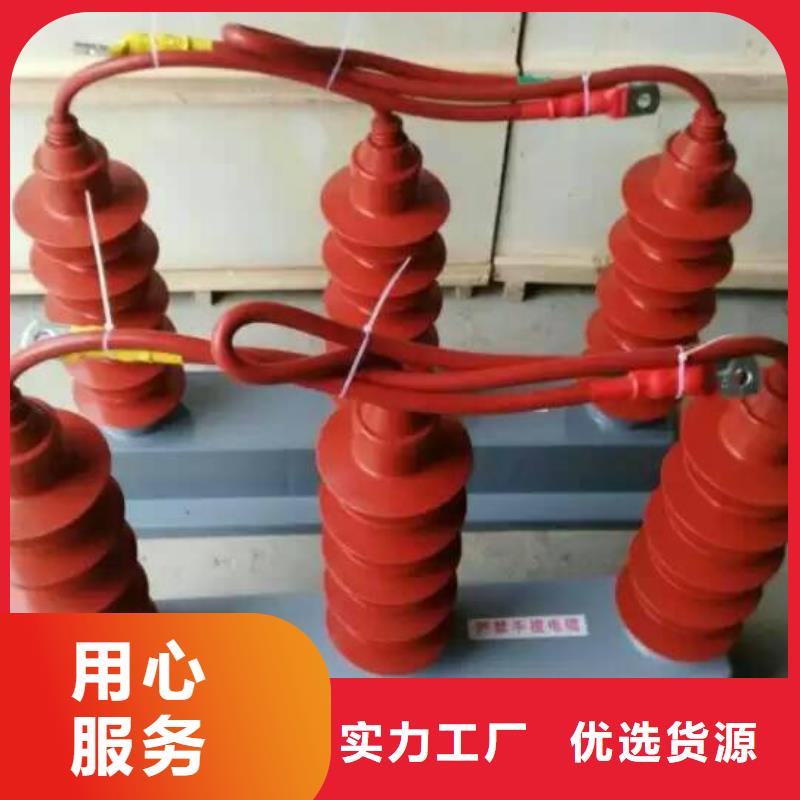 过电压保护器(组合式避雷器)YH5CD-17.5/36*2