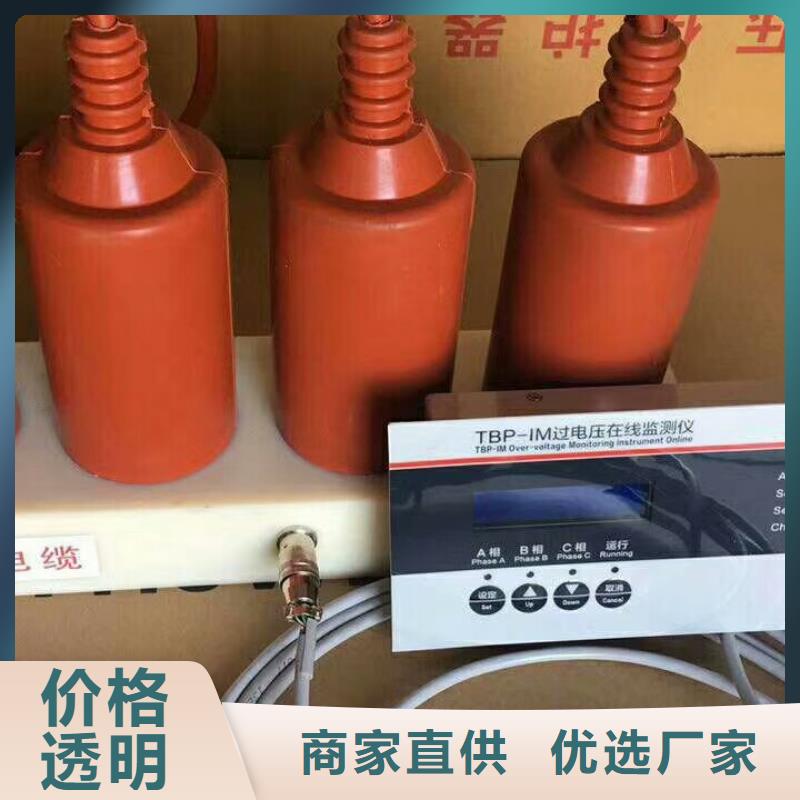 保护器(组合式避雷器)TBP-C-7.6F/85