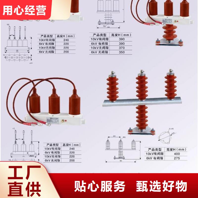 〖过电压保护器〗BSTG-B-42F/400W1询问报价