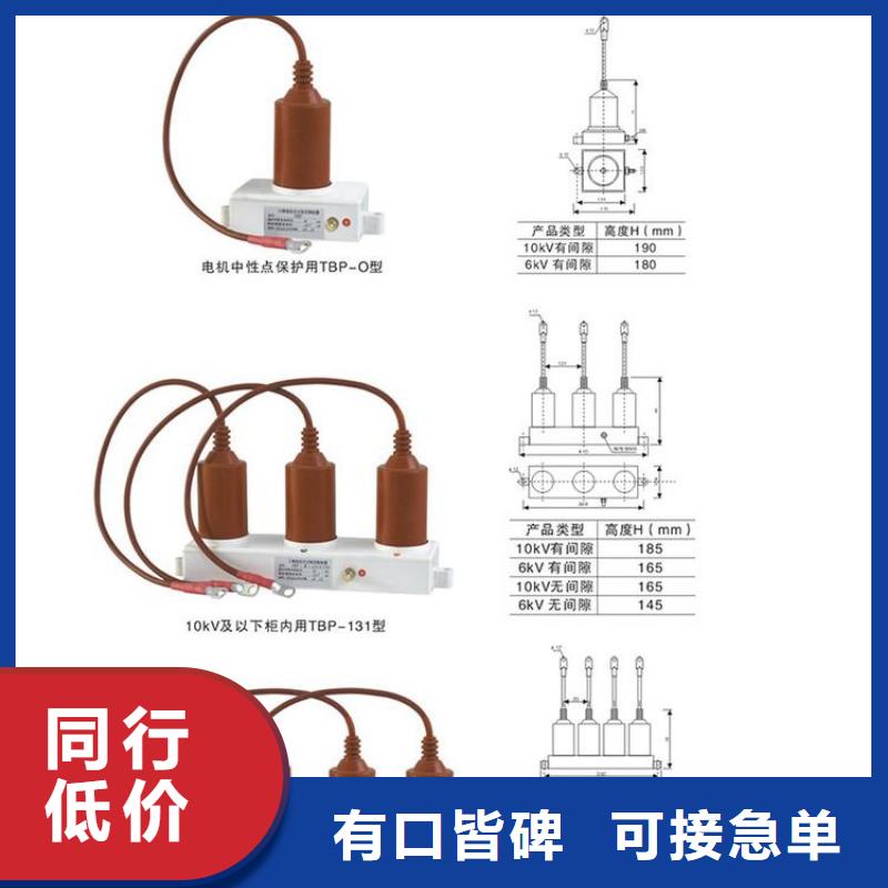 【过电压保护器】BSTG-A-6