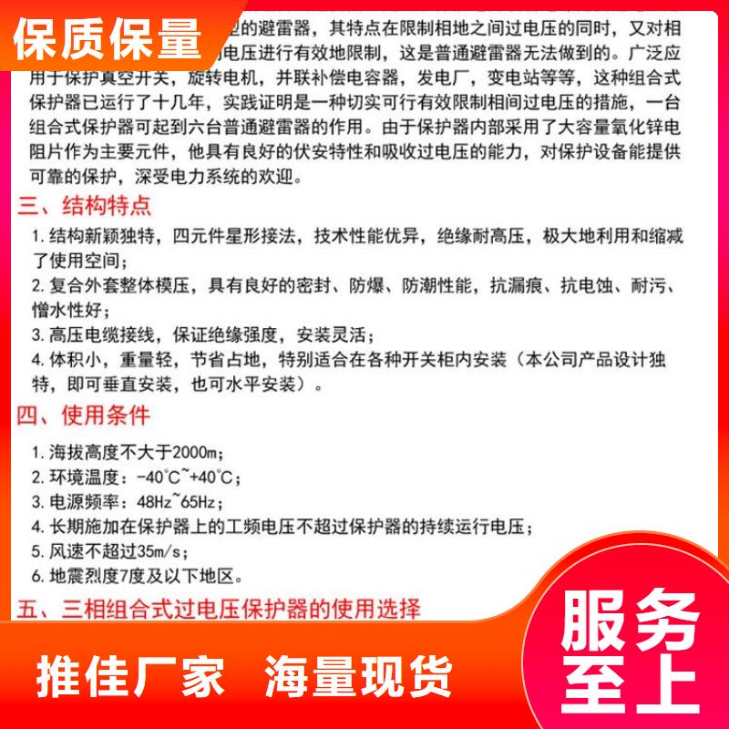 〖过电压保护器〗BSTG-B-42F/400W1询问报价