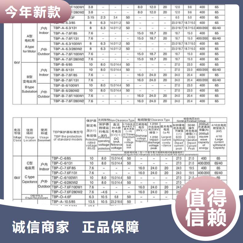 〖过电压保护器〗TBP-A-12.7F/85直供厂家