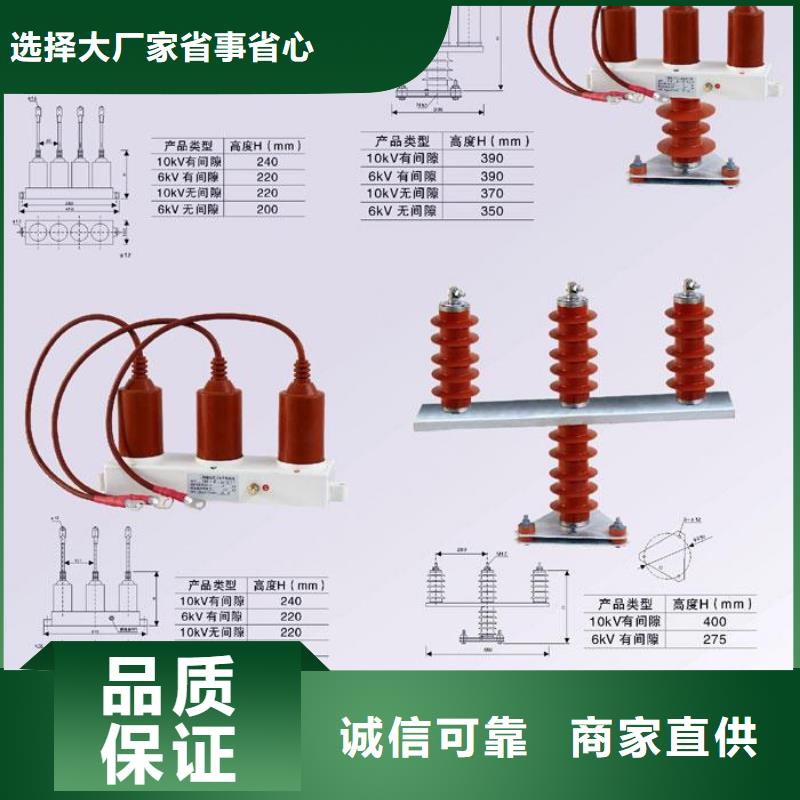 保护器(组合式避雷器)YD800-B-12.7KV/F