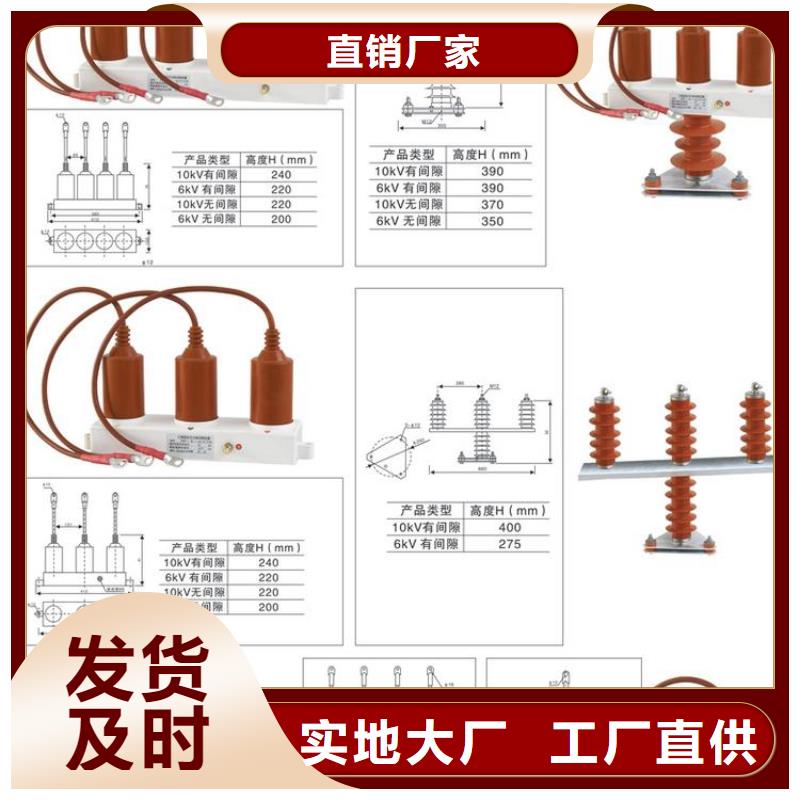 保护器(组合式避雷器)SYB-C-7.6/131-J