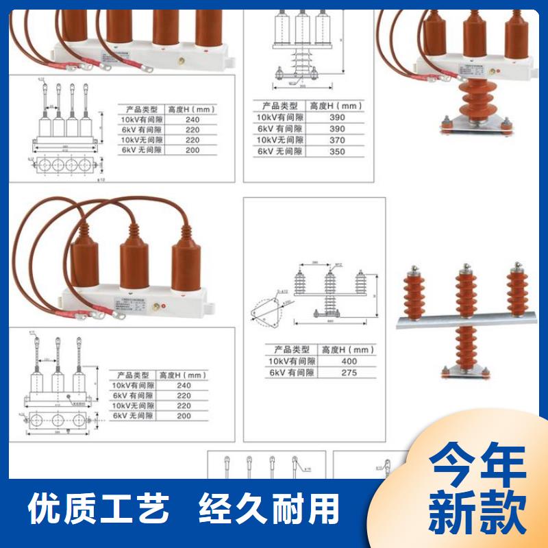 【羿振牌】〖过电压保护器〗BSTG-A-12.7F/131质量可靠