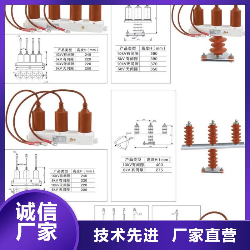 保护器(组合式避雷器)RTB-D-7.6KV/85