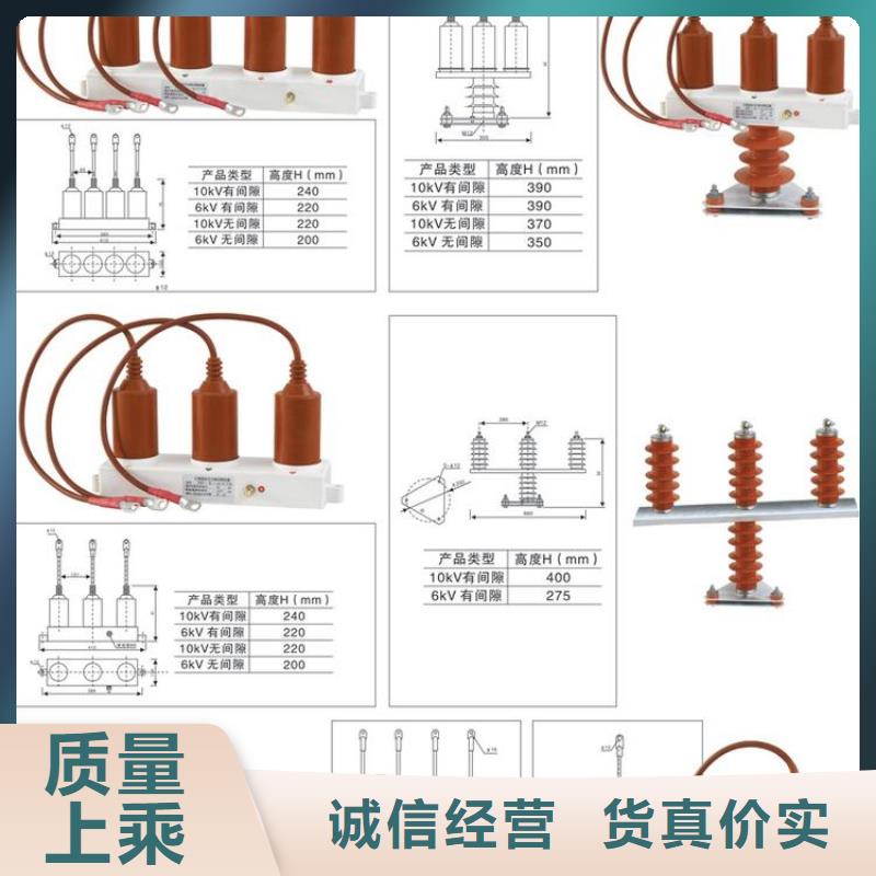 过电压保护器(组合式避雷器)TBP-A-12.7F/131-J