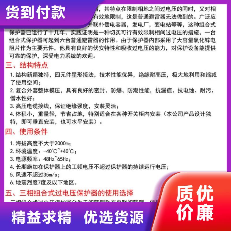 保护器(组合式避雷器)YH2.5CD-7.6/18.7*7.6/18.7