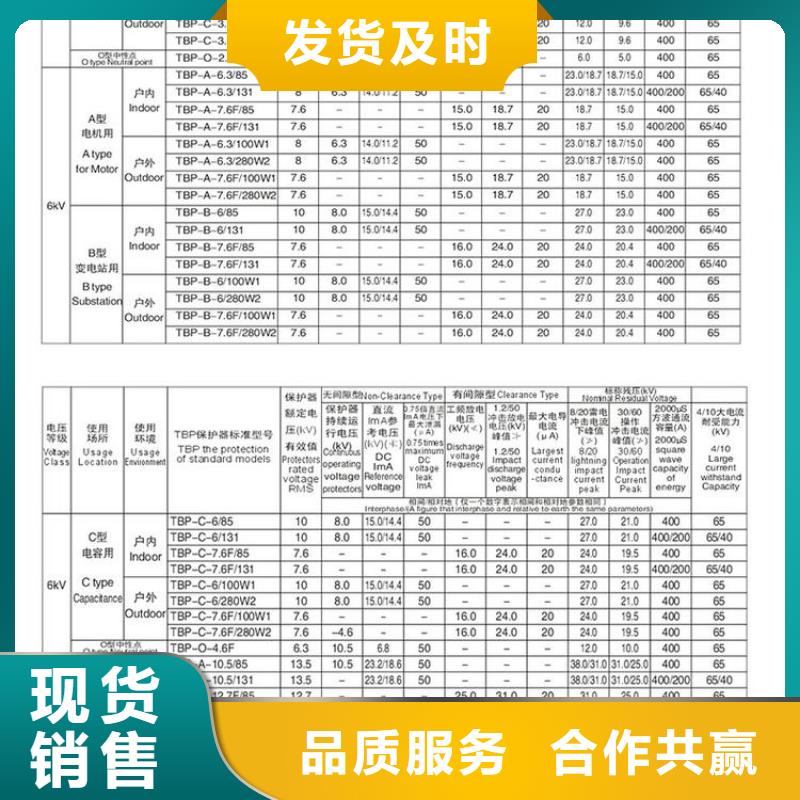 〖过电压保护器〗TBP-B-12.7/131全国发货