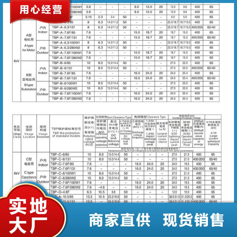 〖过电压保护器〗TBP-C-42/400W1厂家直供